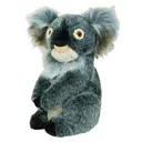 Daphne's Koala driver headcover