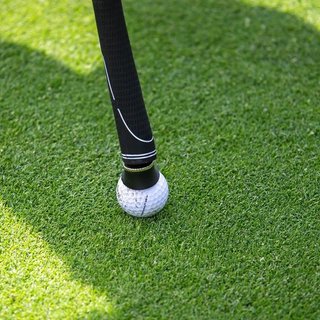 Longridge Mini Ball Pickup accessoire, zwart