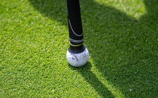 Longridge Mini Ball Pickup accessoire, zwart