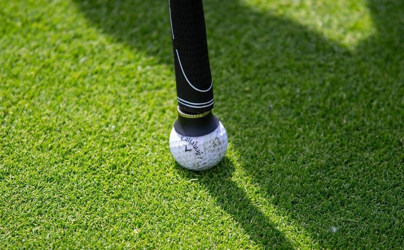 Longridge Mini Ball Pickup accessoire, zwart