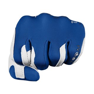 Zoom Zoom Weather heren golfhandschoen, blauw