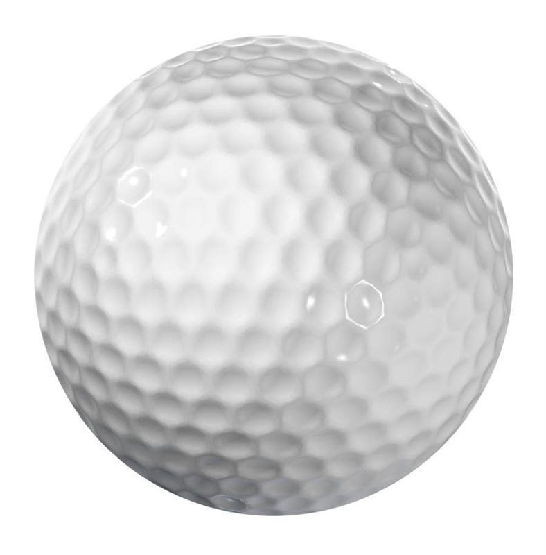 Longridge Blank 2-Piece golfballen
