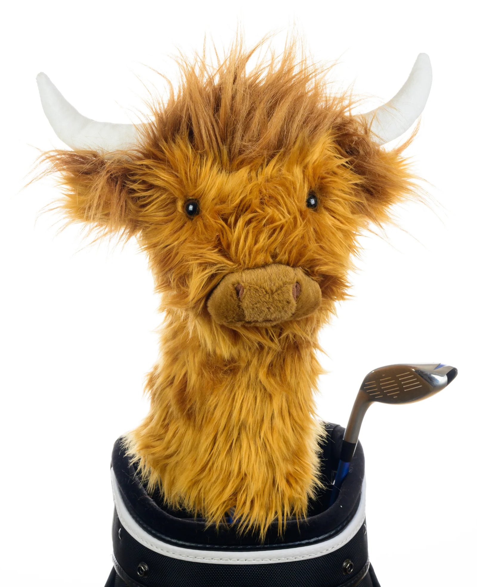 Daphne's Driver Headcover, Highland Cow