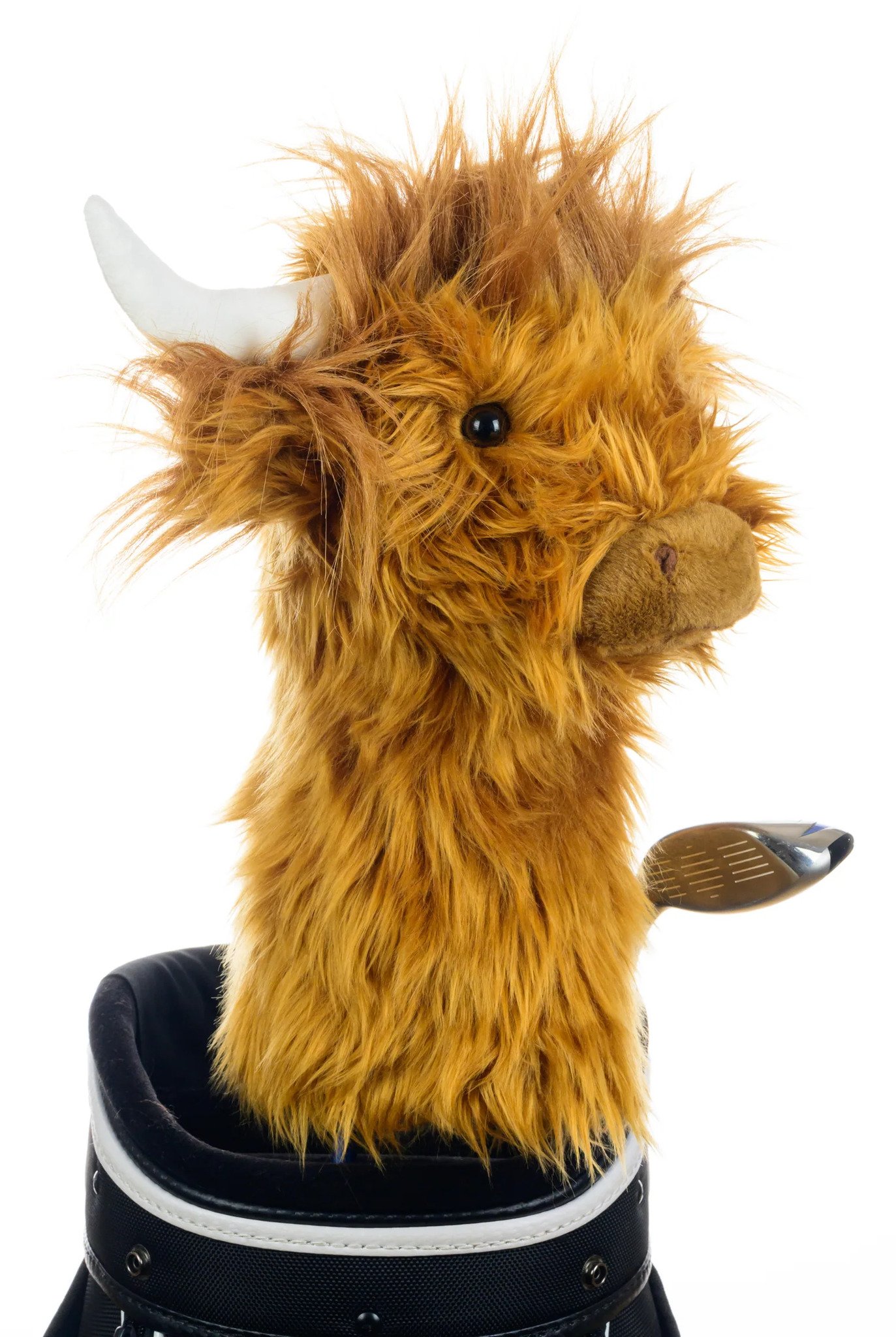 Daphne's Driver Headcover, Highland Cow