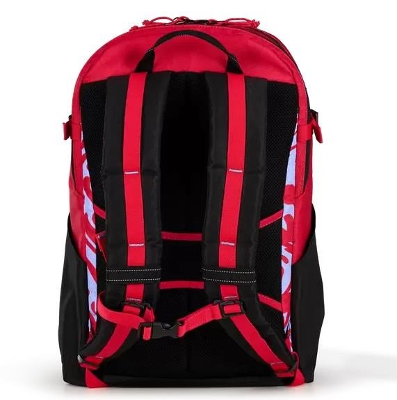 Ogio Alpha 20L backpack melting geos tas