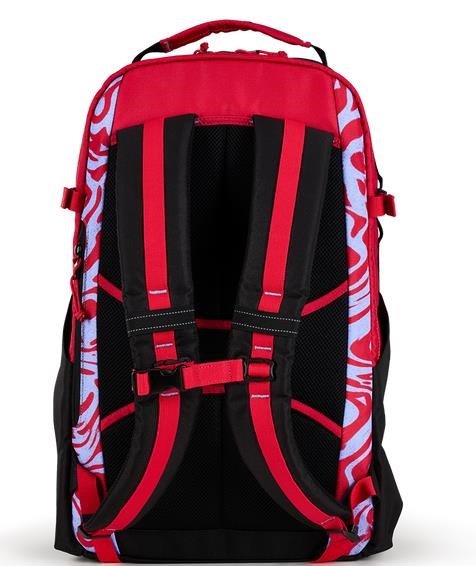 Ogio Alpha 25L Backpack tas