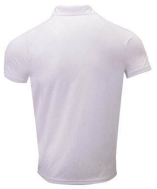 2117 of Sweden Fröseke heren polo, wit