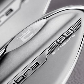 Cobra SNAKEBITE Silver Versatile heren wedge, staal