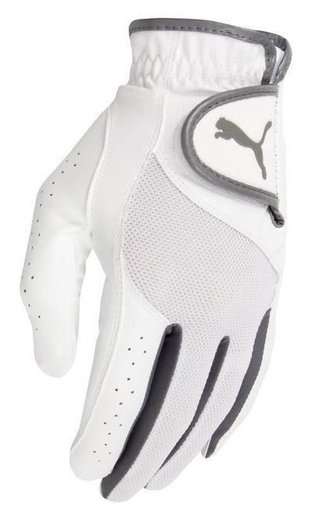 Puma Golf Puma Sport Performance dames golfhandschoen, wit/grijs