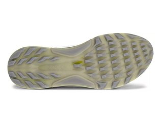 Ecco Biom C4 BOA heren golfschoenen, wit