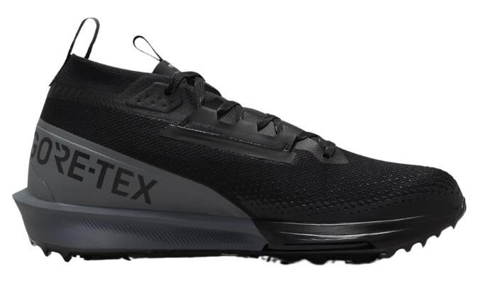 Nike Nike Infinity Tour 2 Gore-Tex heren golfschoenen, zwart