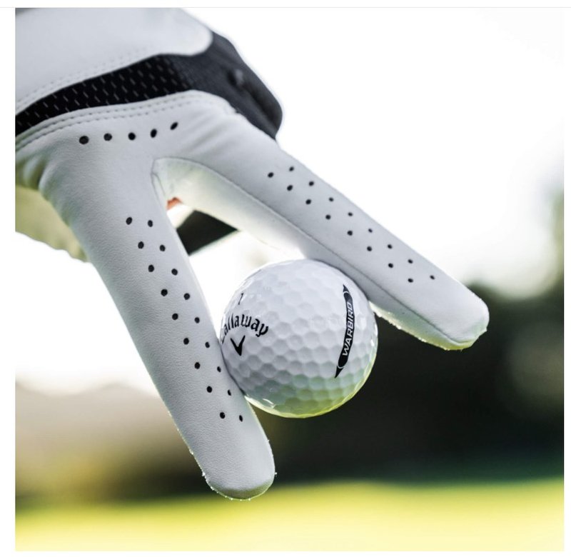 Callaway Warbird Distance+ golfballen