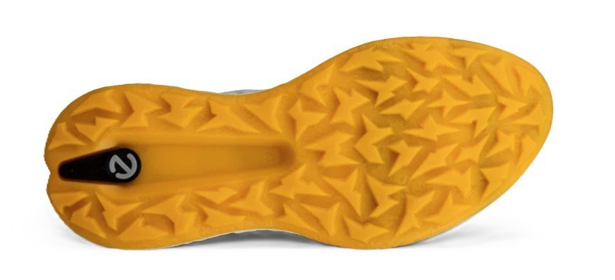 Ecco Biom H5 heren golfschoenen, grijs