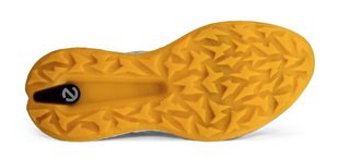 Ecco Biom H5 heren golfschoenen, grijs