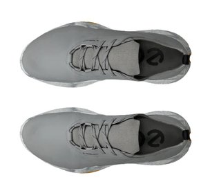 Ecco Biom H5 heren golfschoenen, grijs