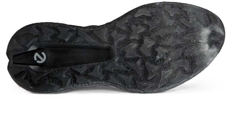 Ecco Biom H5 BOA heren golfschoenen, zwart