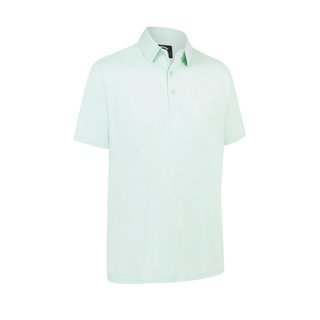 Callaway Premium Jacquard heren polo, birds egg green