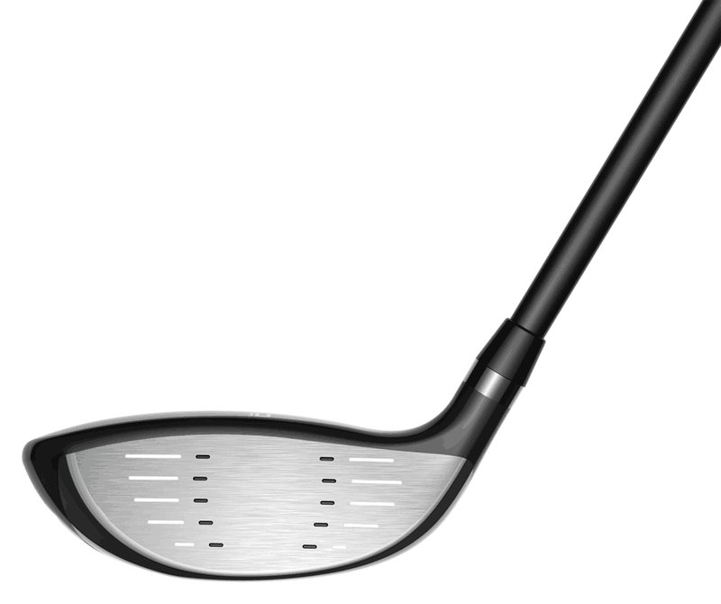 Cobra Fly-XL 2 Black Gold heren golfset, grafiet, + cartbag