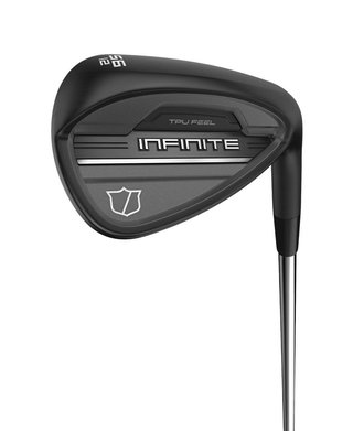 Wilson Infinite heren wedge, staal