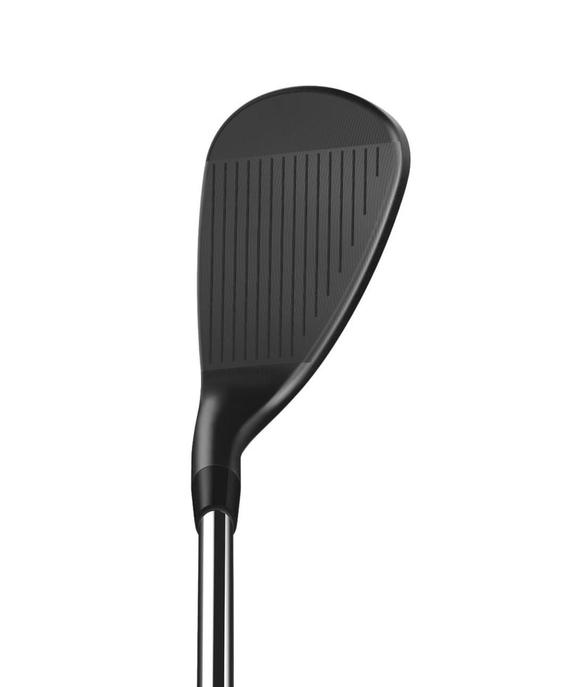 Wilson Infinite heren wedge, staal