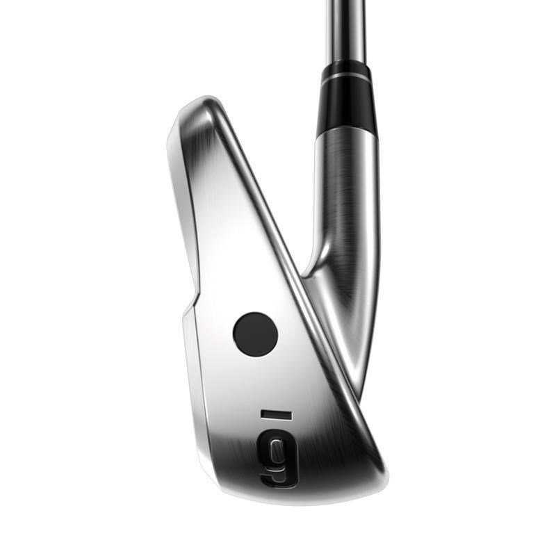 Callaway Apex Ti Fusion 250 Plated heren ijzers, staal