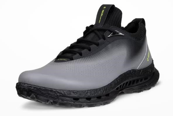 Ecco Ecco Biom C5 heren golfschoenen, zwart