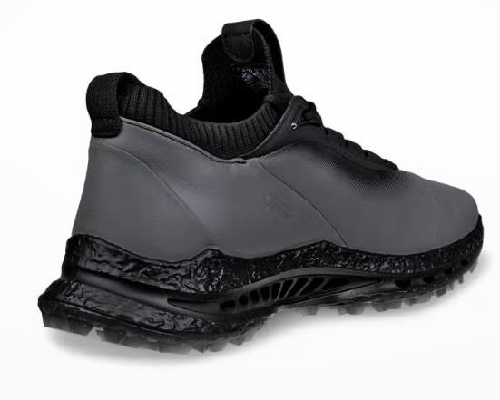 Ecco Ecco Biom C5 heren golfschoenen, zwart