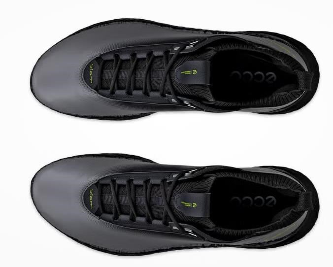 Ecco Ecco Biom C5 heren golfschoenen, zwart