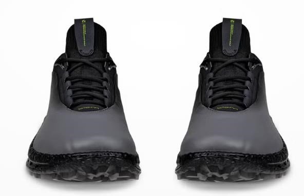 Ecco Ecco Biom C5 heren golfschoenen, zwart