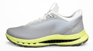 Ecco Ecco Biom C5 heren golfschoenen, grijs