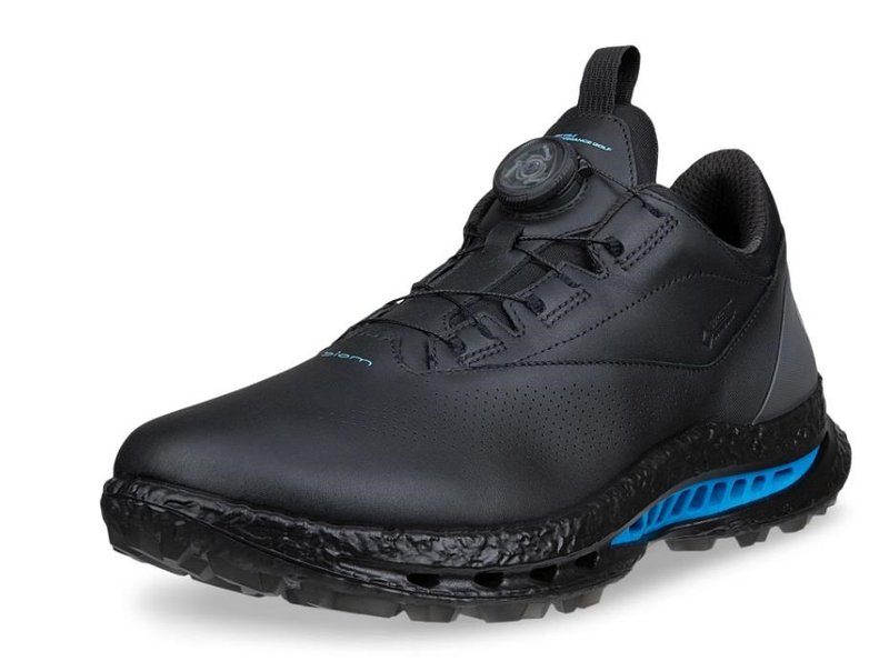 Ecco Ecco Biom C5 BOA heren golfschoenen, zwart
