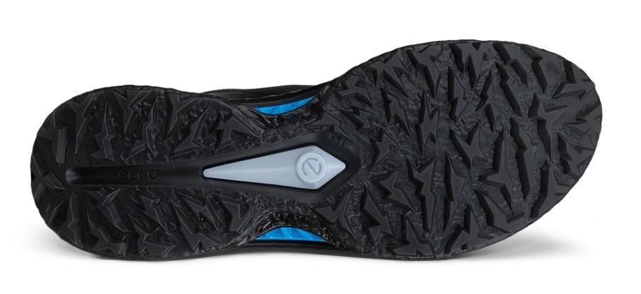Ecco Ecco Biom C5 BOA heren golfschoenen, zwart