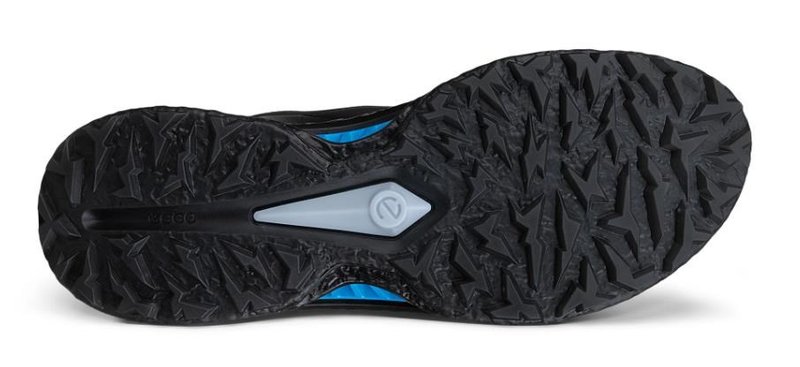 Ecco Ecco Biom C5 BOA heren golfschoenen, zwart