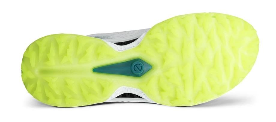 Ecco Ecco Biom C5 BOA heren golfschoenen, wit