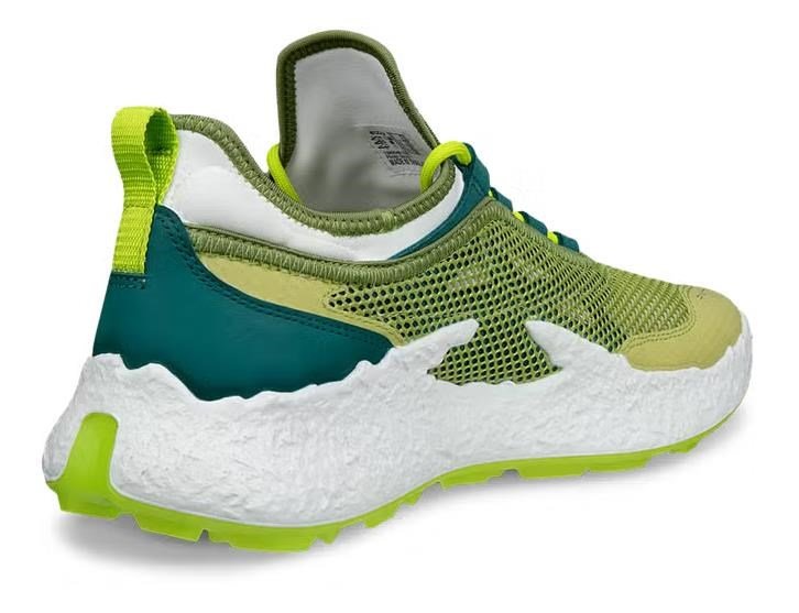 Ecco Ecco Biom H5 heren golfschoenen, groen