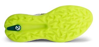 Ecco Ecco Biom H5 heren golfschoenen, groen