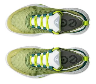 Ecco Ecco Biom H5 heren golfschoenen, groen