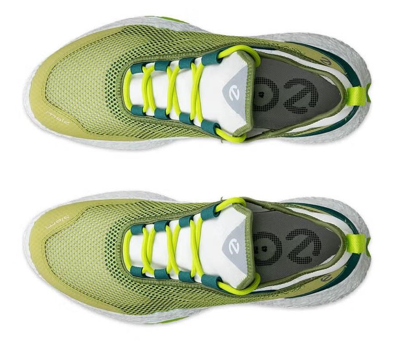 Ecco Ecco Biom H5 heren golfschoenen, groen