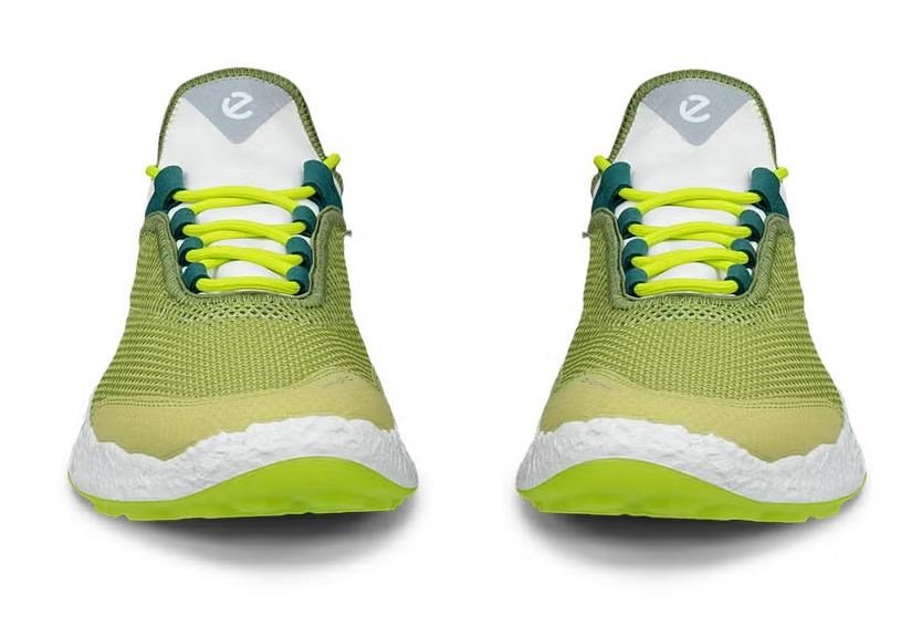 Ecco Ecco Biom H5 heren golfschoenen, groen
