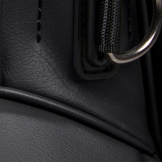 Titleist Linkslegend Members stand bag, zwart