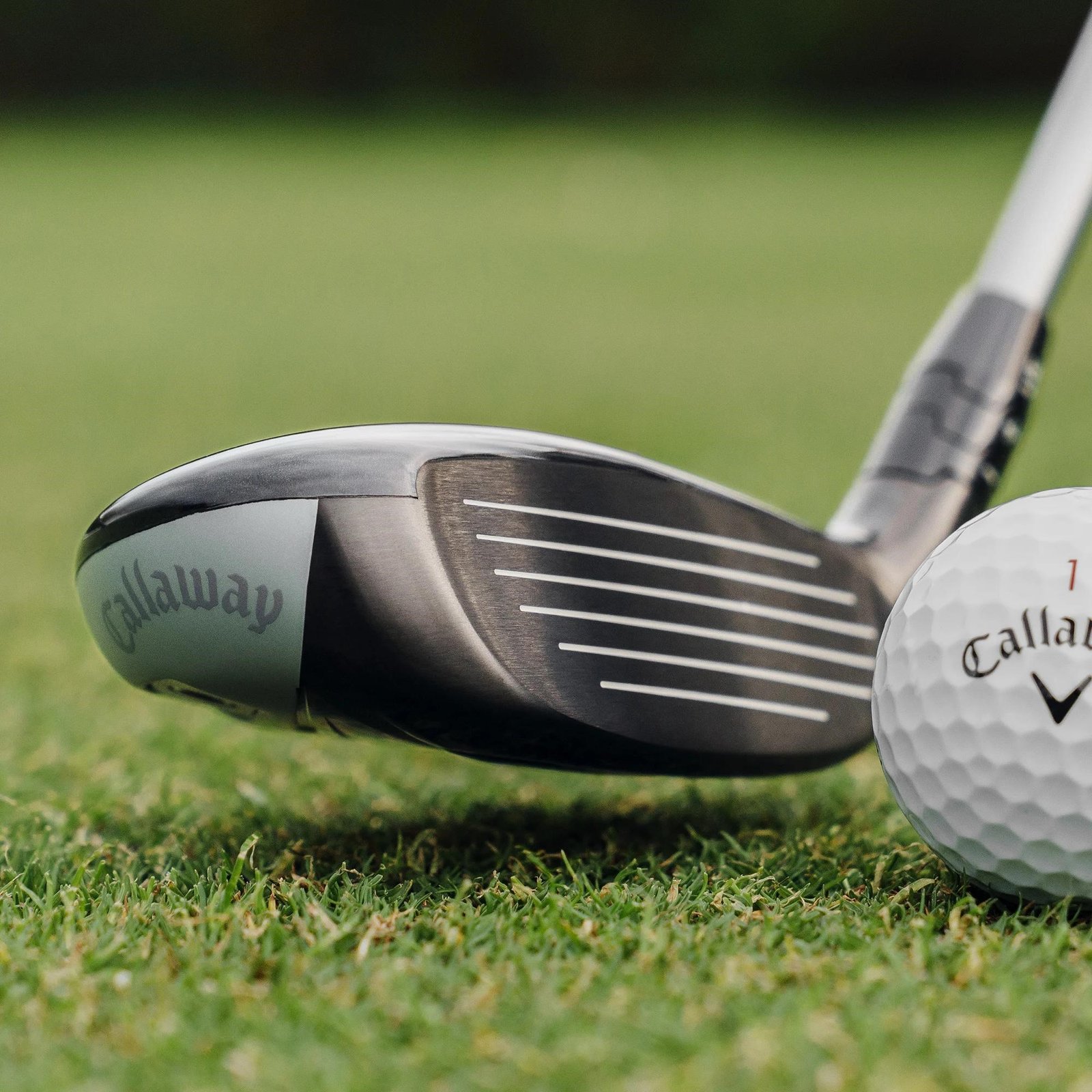 Callaway Quantum Max heren hybride