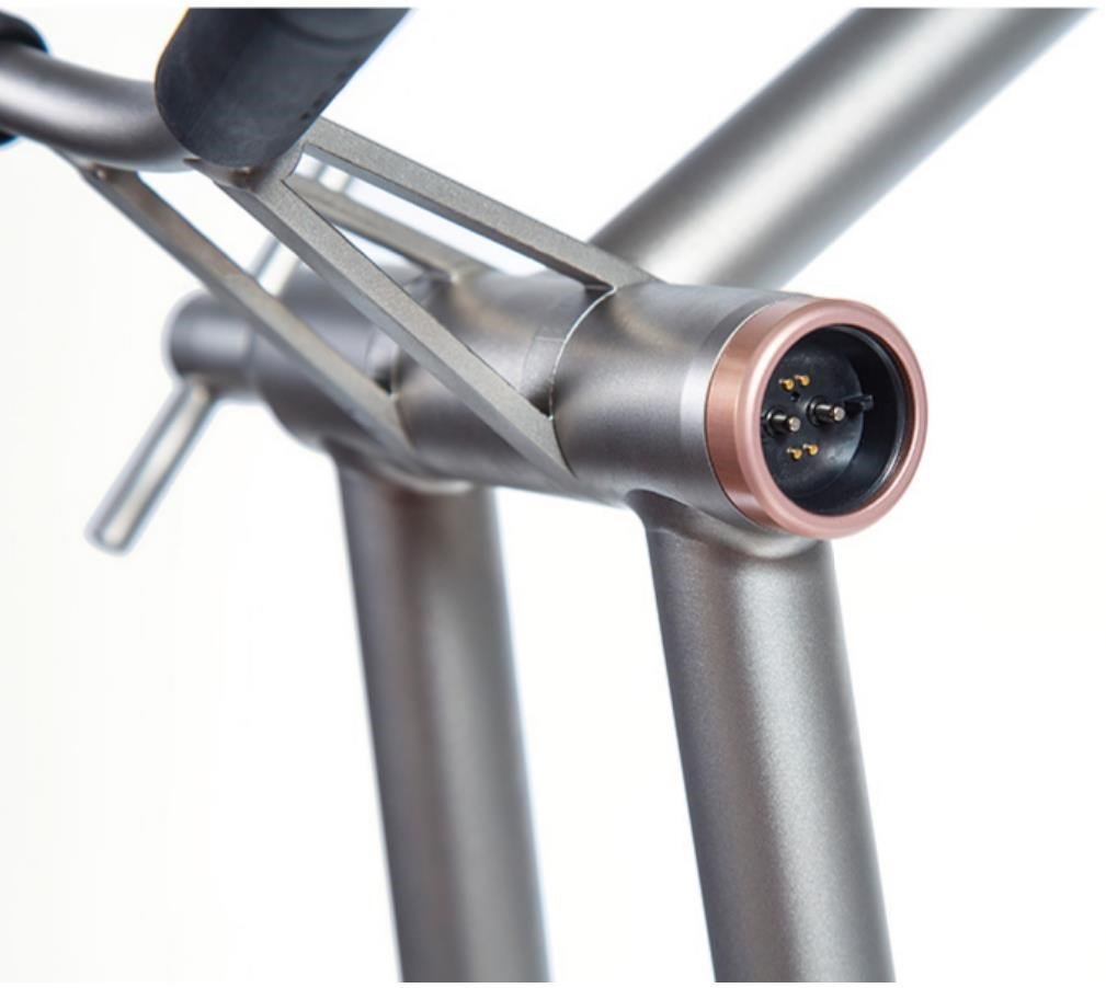 JuCad Phantom Titan Rosé eX 3.0 elektrische trolley, rose