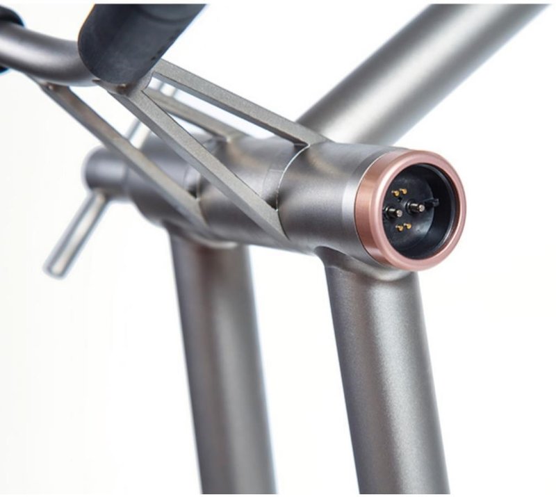 JuCad Phantom Titan Rosé eX 3.0 elektrische trolley, rose