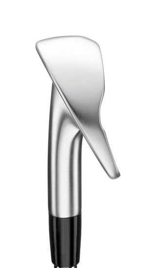 Mizuno Golf Mizuno Pro M-13 ijzers, staal