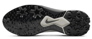 Nike Pegasus 1 heren golfschoenen, zwart/sail/wit