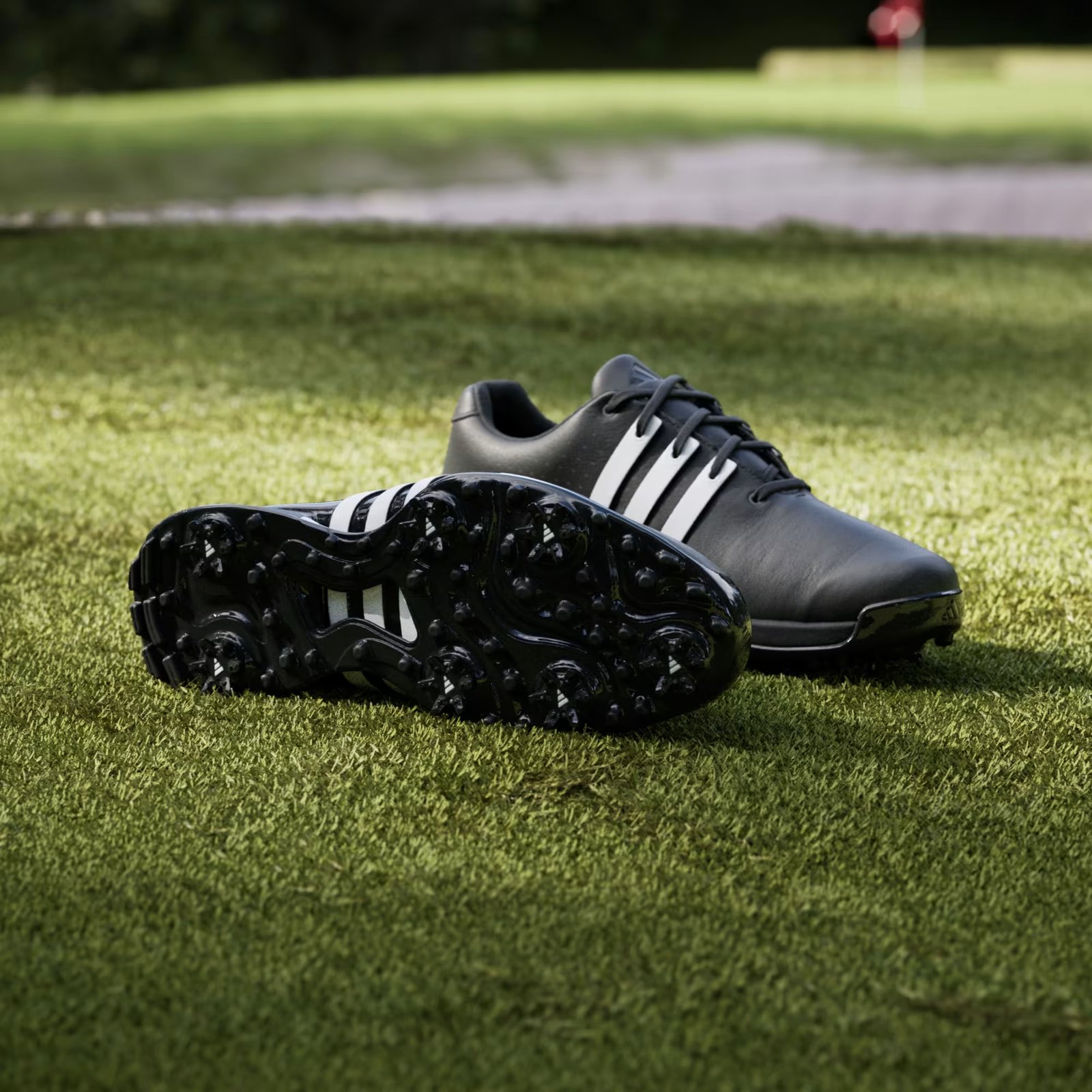 Adidas Tour360 24 heren golfschoenen, zwart