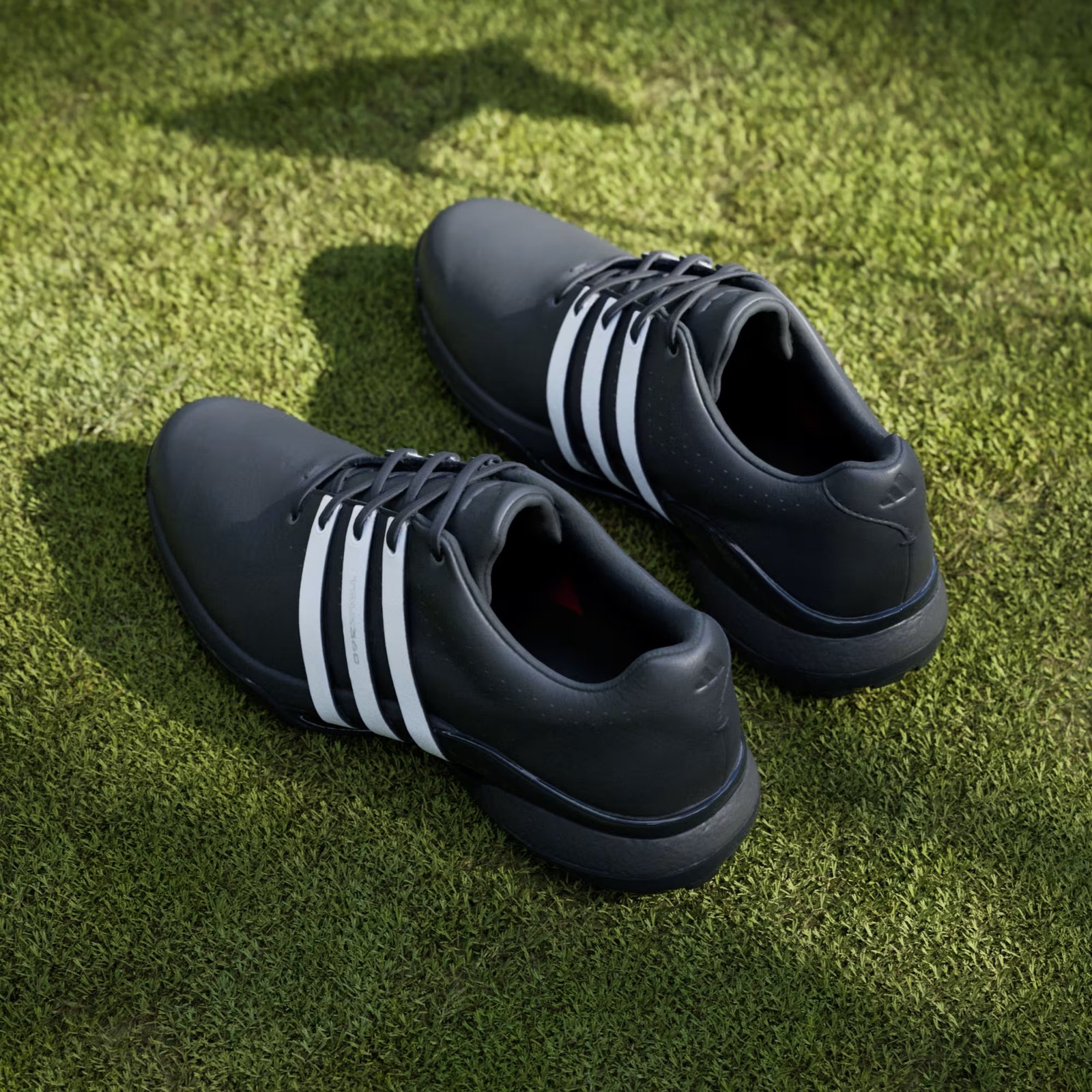 Adidas Tour360 24 heren golfschoenen, zwart
